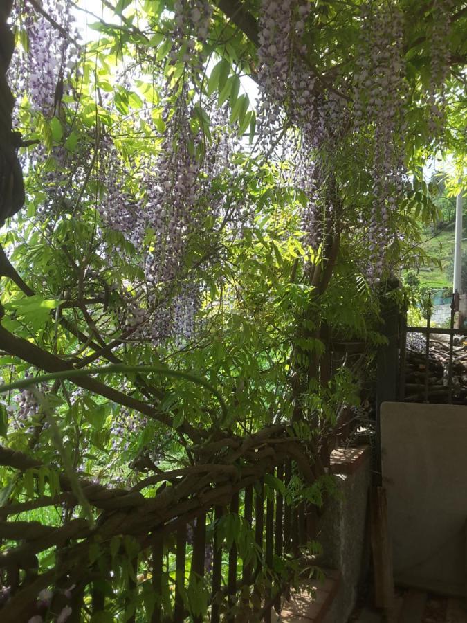 Mansarda Fiorita Bed & Breakfast Abatemarco Luaran gambar