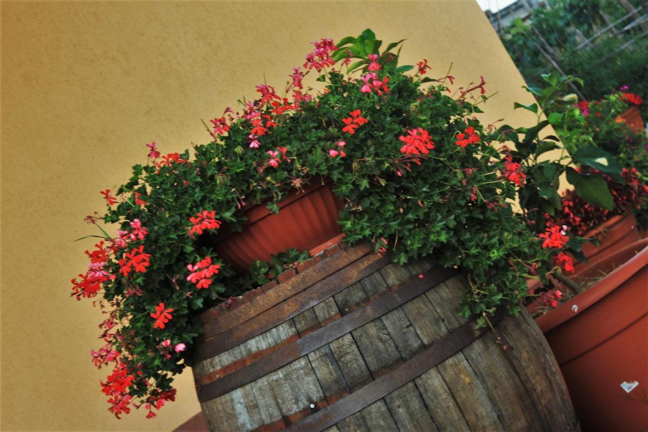 Mansarda Fiorita Bed & Breakfast Abatemarco Luaran gambar