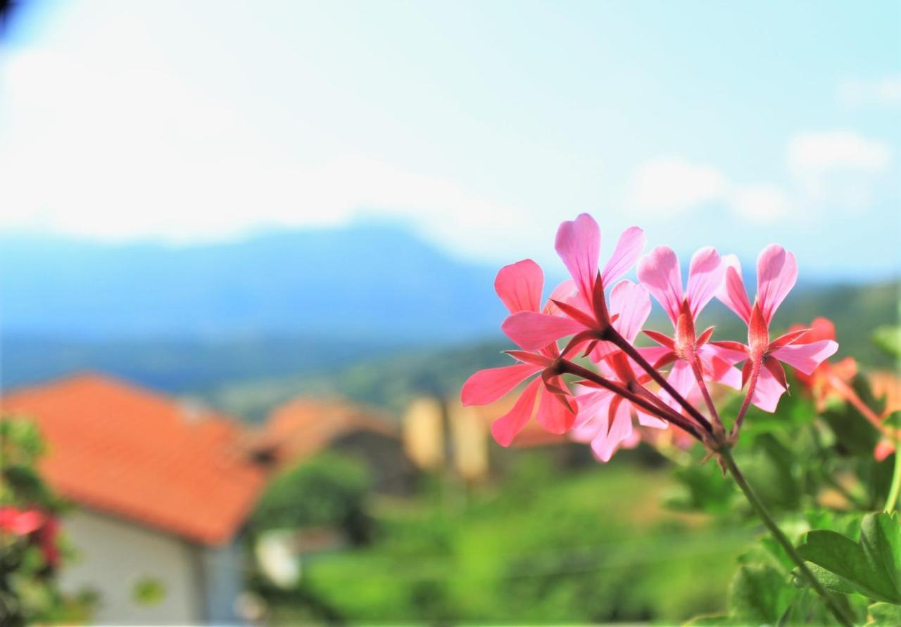 Mansarda Fiorita Bed & Breakfast Abatemarco Luaran gambar