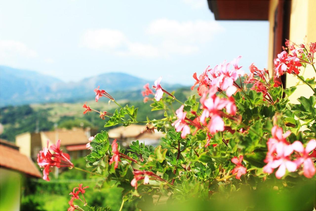 Mansarda Fiorita Bed & Breakfast Abatemarco Luaran gambar